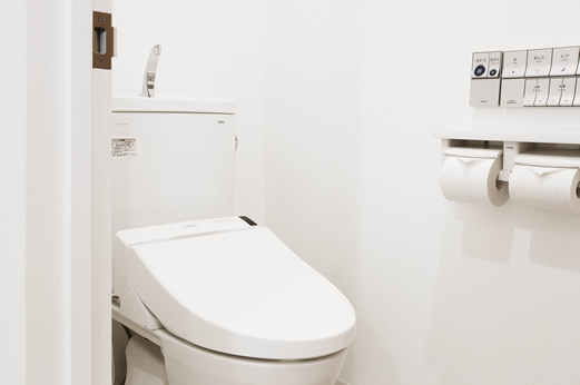 Shower toilet